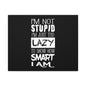 Inspirational Canvas Wall Art - 'I'm Not Stupid, I'm Just Too Lazy To Show How Smart I Am'