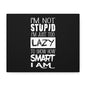 Inspirational Canvas Wall Art - 'I'm Not Stupid, I'm Just Too Lazy To Show How Smart I Am'